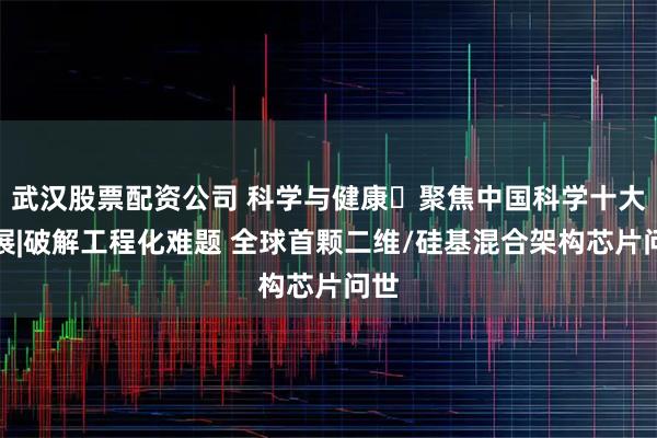 武汉股票配资公司 科学与健康・聚焦中国科学十大进展|破解工程化难题 全球首颗二维/硅基混合架构芯片问世