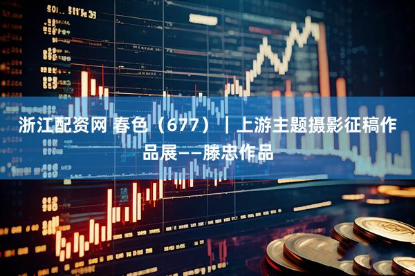 浙江配资网 春色（677）｜上游主题摄影征稿作品展——滕忠作品