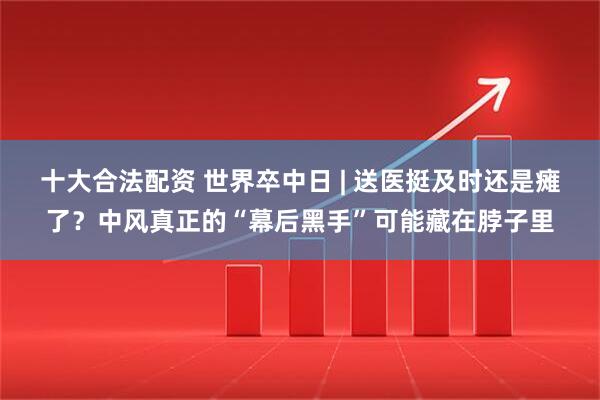 十大合法配资 世界卒中日 | 送医挺及时还是瘫了？中风真正的“幕后黑手”可能藏在脖子里